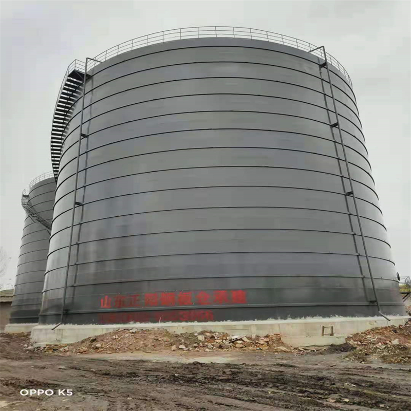 兴仁3万吨大型钢板库